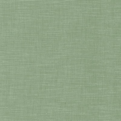 Kasmir BELTRAN          BLUE STONE      